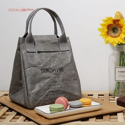 Custom Picnic Bag for Office Workers & Elementary Students Waterproof Thickened Japanese-Style DuPont Paper Insulated Lunch Bag