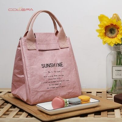 Custom Picnic Bag for Office Workers & Elementary Students Waterproof Thickened Japanese-Style DuPont Paper Insulated Lunch Bag