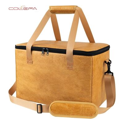 Прямая поставка с завода: Изолированная сумка для барбекю из бумаги DuPont/Tyvek с молнией, большая вместимость, для хранения мяса и напитков